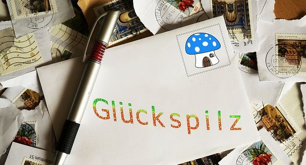 Lotto-Glückspilz in Sachsen-Anhalt